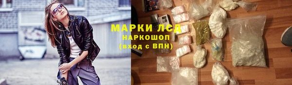 мяу мяу мука Магас