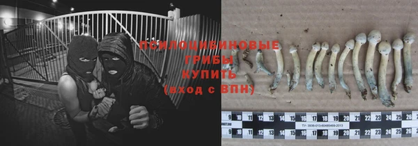 мяу мяу мука Магас
