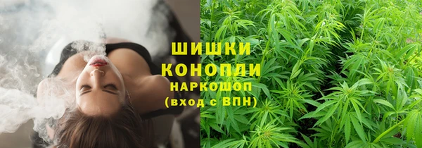 мяу мяу мука Магас