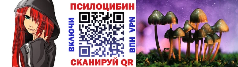 сколько стоит  Монино  Галлюциногенные грибы мицелий 